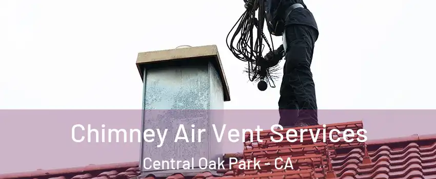 Chimney Air Vent Services Central Oak Park - CA