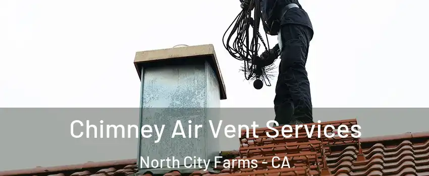 Chimney Air Vent Services North City Farms - CA