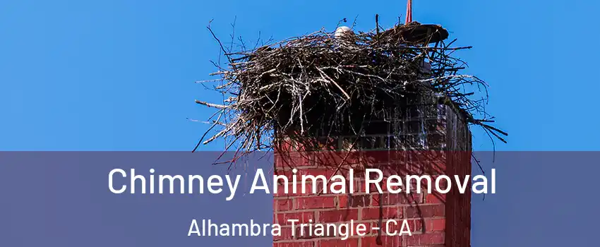 Chimney Animal Removal Alhambra Triangle - CA