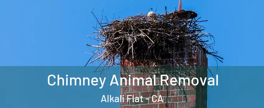 Chimney Animal Removal Alkali Flat - CA