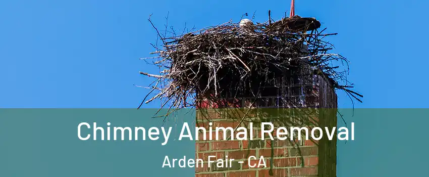 Chimney Animal Removal Arden Fair - CA