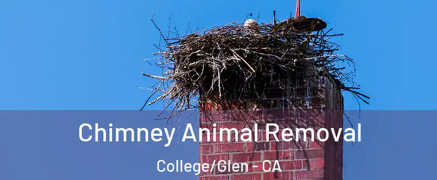 Chimney Animal Removal College/Glen - CA