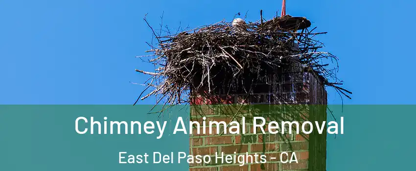 Chimney Animal Removal East Del Paso Heights - CA