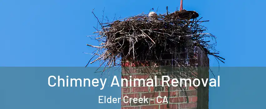 Chimney Animal Removal Elder Creek - CA