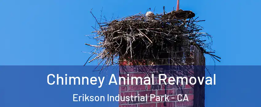 Chimney Animal Removal Erikson Industrial Park - CA