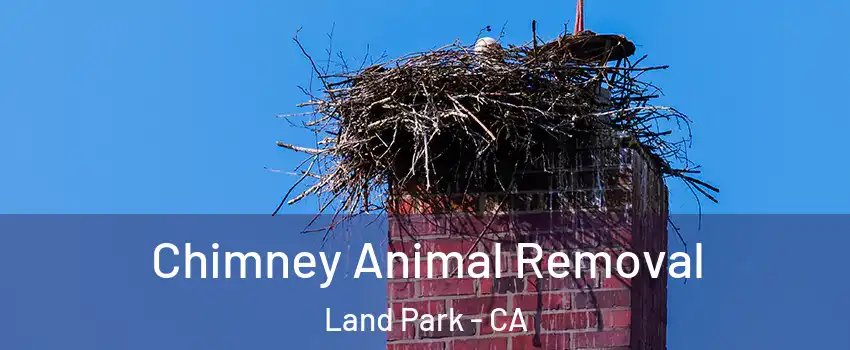 Chimney Animal Removal Land Park - CA