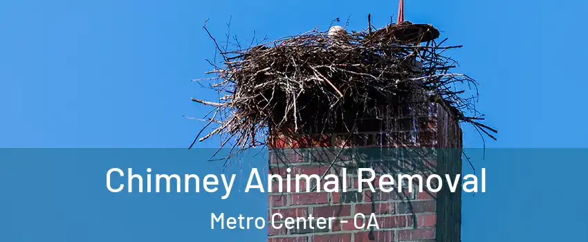 Chimney Animal Removal Metro Center - CA