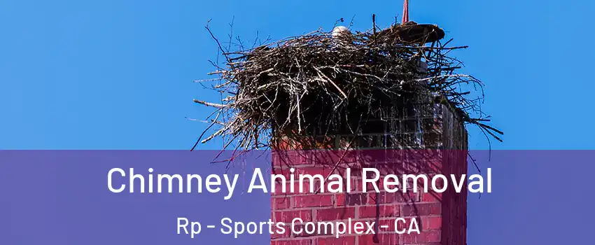 Chimney Animal Removal Rp - Sports Complex - CA