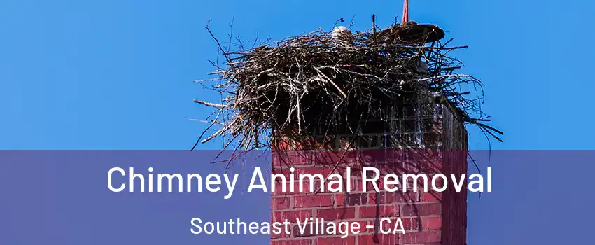 Chimney Animal Removal Southeast Village - CA