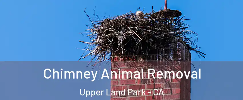 Chimney Animal Removal Upper Land Park - CA