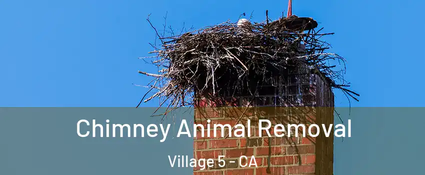 Chimney Animal Removal Village 5 - CA