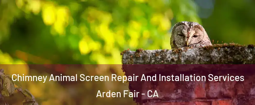 Chimney Animal Screen Repair And Installation Services Arden Fair - CA