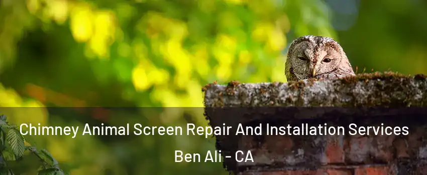 Chimney Animal Screen Repair And Installation Services Ben Ali - CA