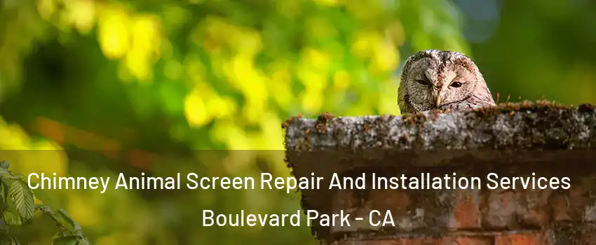 Chimney Animal Screen Repair And Installation Services Boulevard Park - CA