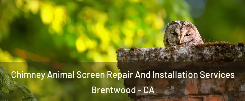 Chimney Animal Screen Repair And Installation Services Brentwood - CA