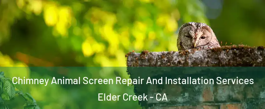 Chimney Animal Screen Repair And Installation Services Elder Creek - CA