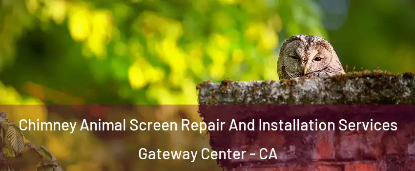 Chimney Animal Screen Repair And Installation Services Gateway Center - CA