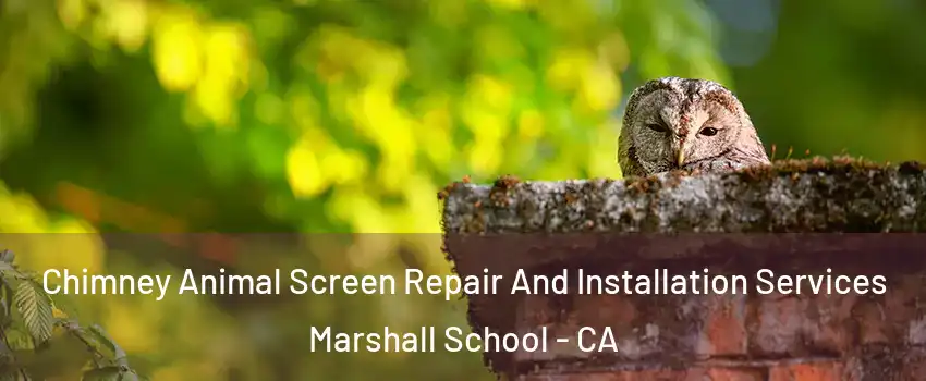 Chimney Animal Screen Repair And Installation Services Marshall School - CA