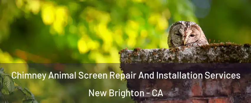 Chimney Animal Screen Repair And Installation Services New Brighton - CA