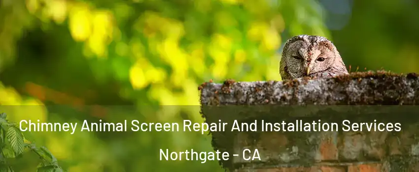 Chimney Animal Screen Repair And Installation Services Northgate - CA