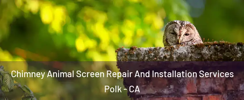 Chimney Animal Screen Repair And Installation Services Polk - CA