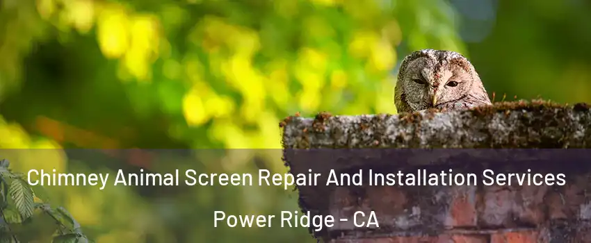 Chimney Animal Screen Repair And Installation Services Power Ridge - CA