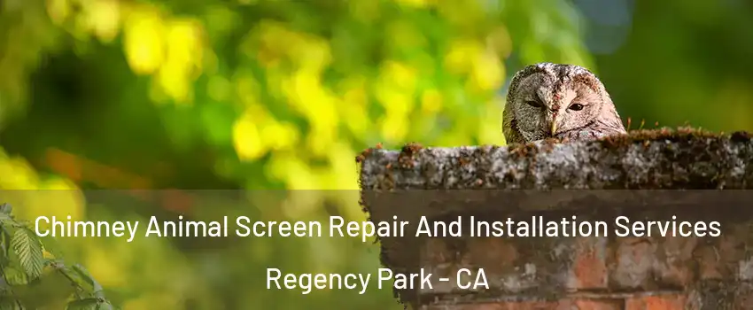 Chimney Animal Screen Repair And Installation Services Regency Park - CA