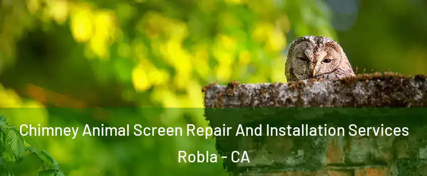 Chimney Animal Screen Repair And Installation Services Robla - CA