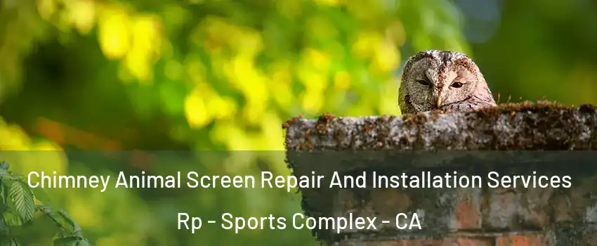 Chimney Animal Screen Repair And Installation Services Rp - Sports Complex - CA