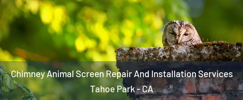 Chimney Animal Screen Repair And Installation Services Tahoe Park - CA