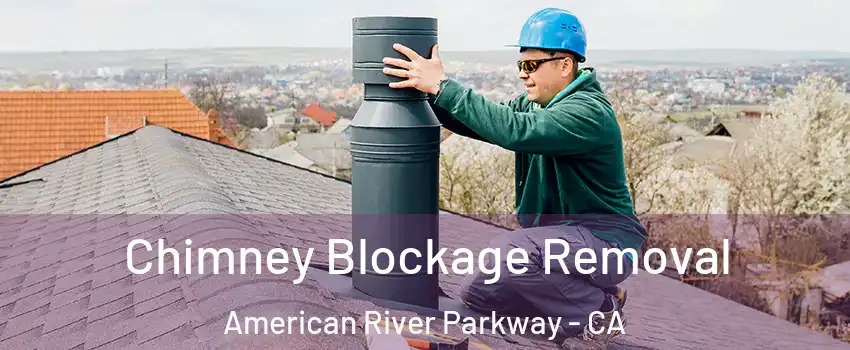 Chimney Blockage Removal American River Parkway - CA