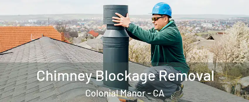 Chimney Blockage Removal Colonial Manor - CA