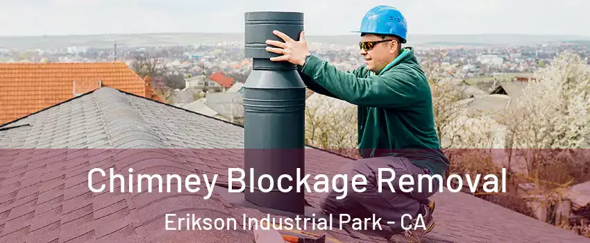 Chimney Blockage Removal Erikson Industrial Park - CA