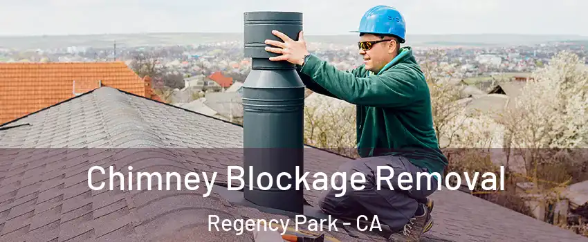 Chimney Blockage Removal Regency Park - CA