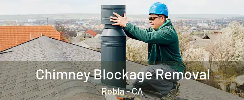 Chimney Blockage Removal Robla - CA