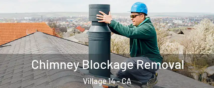 Chimney Blockage Removal Village 14 - CA