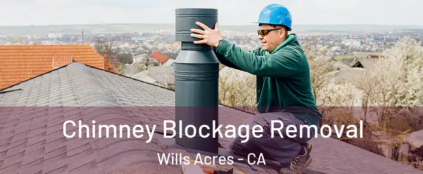 Chimney Blockage Removal Wills Acres - CA