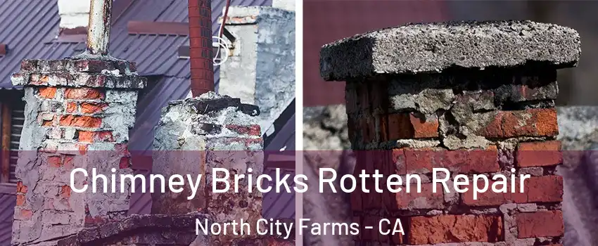 Chimney Bricks Rotten Repair North City Farms - CA