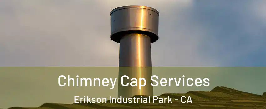 Chimney Cap Services Erikson Industrial Park - CA