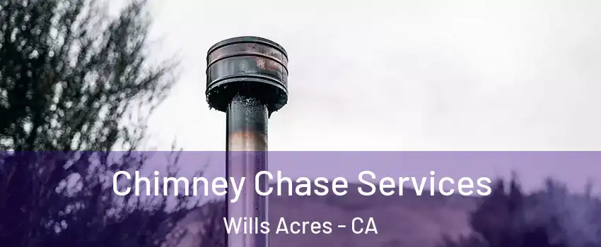 Chimney Chase Services Wills Acres - CA