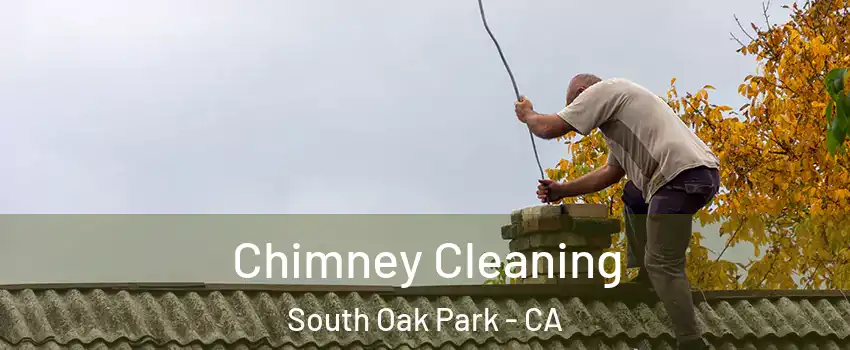 Chimney Cleaning South Oak Park - CA