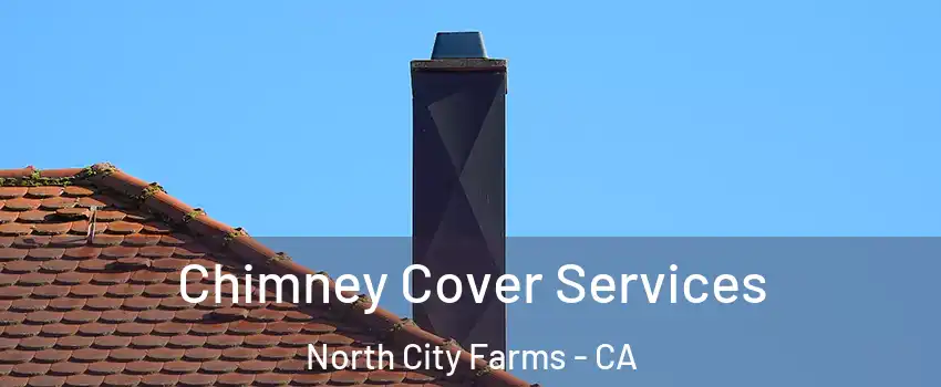 Chimney Cover Services North City Farms - CA