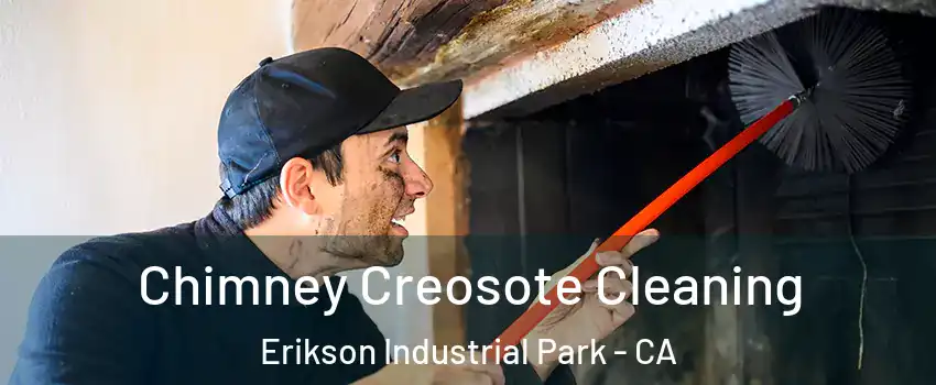 Chimney Creosote Cleaning Erikson Industrial Park - CA