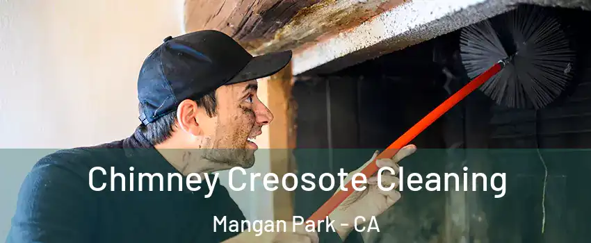 Chimney Creosote Cleaning Mangan Park - CA