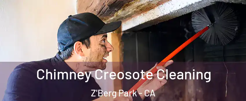 Chimney Creosote Cleaning Z'Berg Park - CA