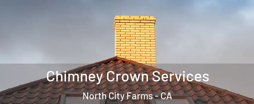 Chimney Crown Services North City Farms - CA