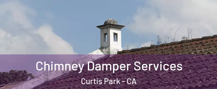 Chimney Damper Services Curtis Park - CA