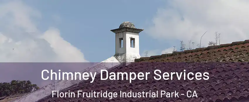 Chimney Damper Services Florin Fruitridge Industrial Park - CA