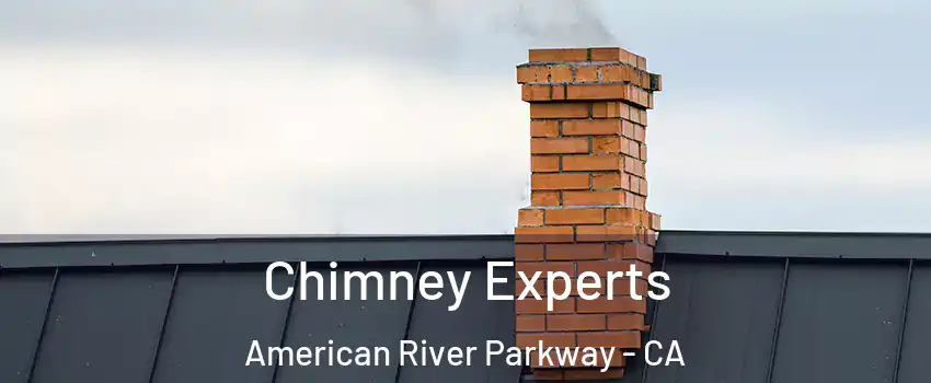 Chimney Experts American River Parkway - CA