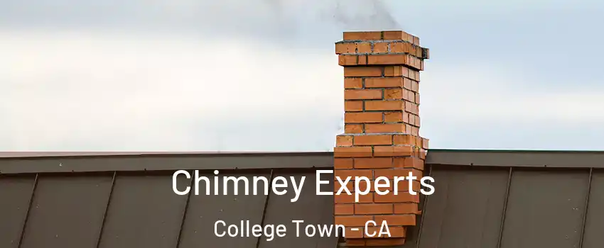 Chimney Experts College Town - CA